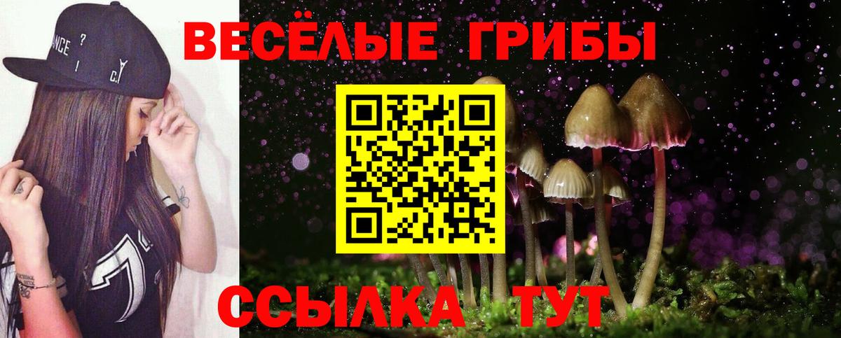 Псилоцибиновые грибы мухоморы Каменка