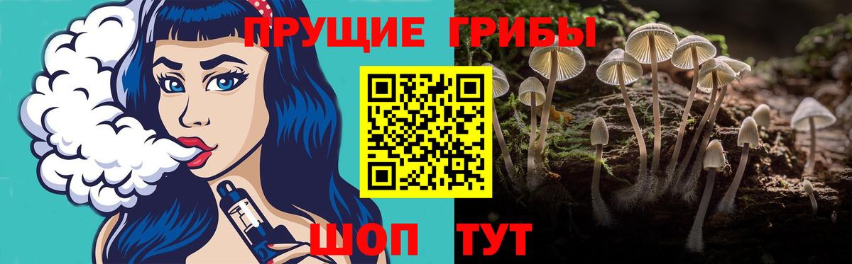 Галлюциногенные грибы MAGIC MUSHROOMS  Вход с VPN  Каменка 