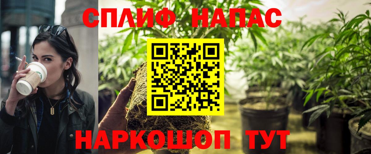 МАРИХУАНА сатива  Бошки марихуана семена  Каменка  Вход с VPN 